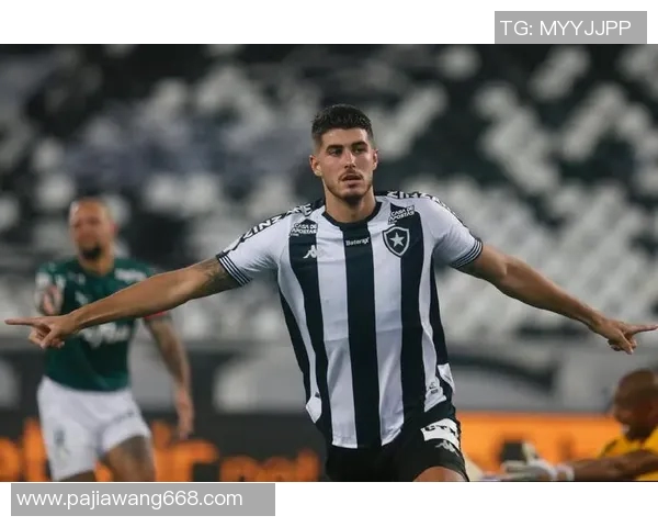 巴拉圭国民与博塔弗戈比赛前瞻及比分预测分析